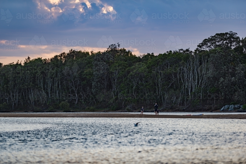 Lagoon afternoon - Australian Stock Image