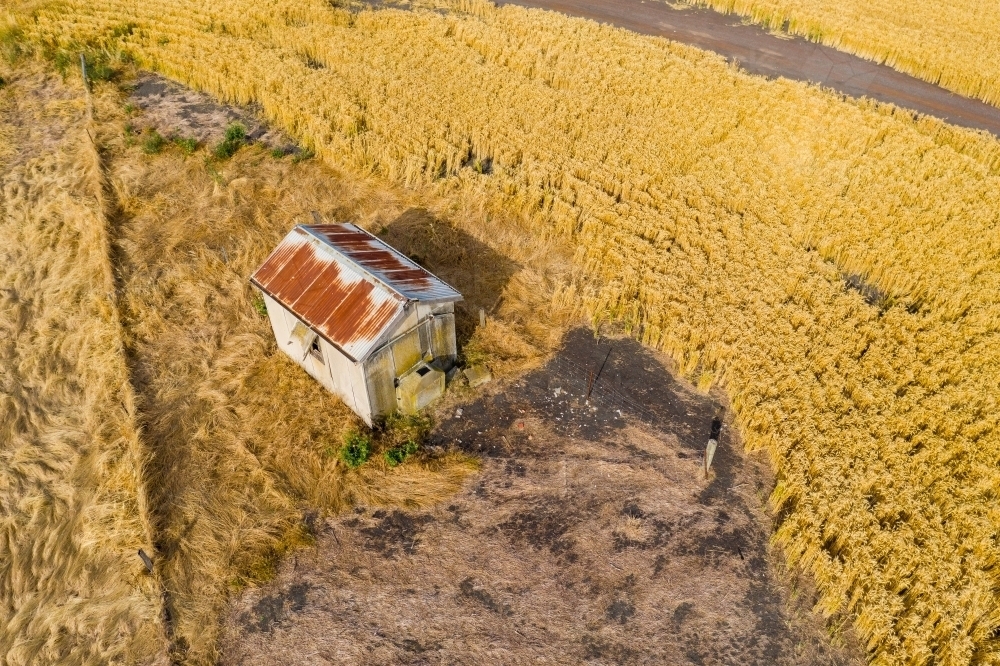 Lake Corangamite, Victoria. - Australian Stock Image