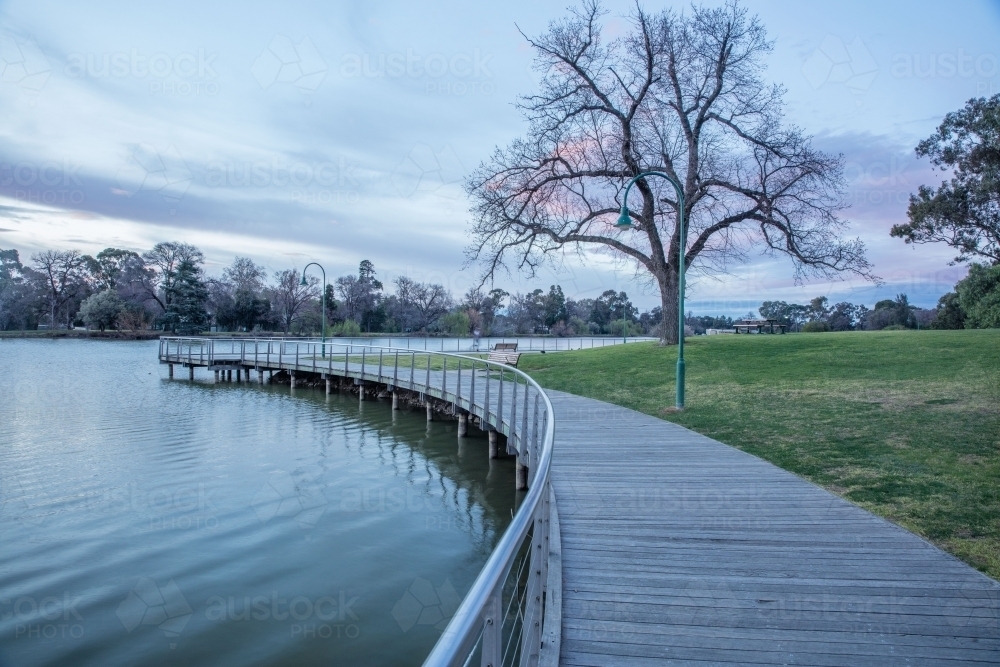 Lake Weeroona and Winter Tree on cold morning - Australian Stock Image