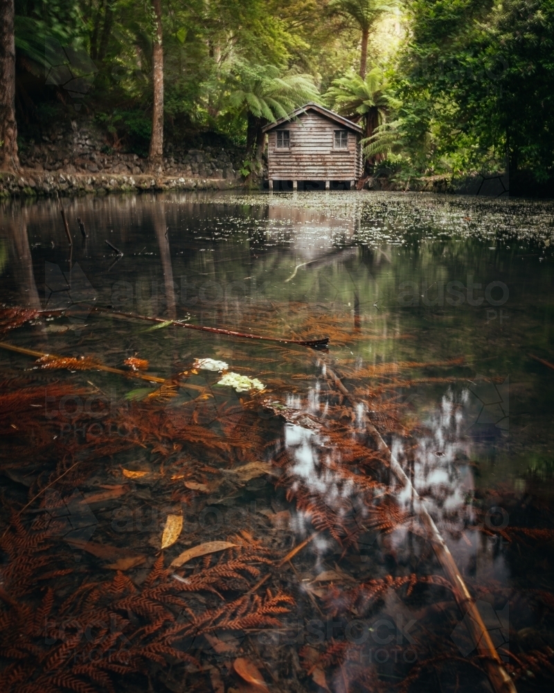 Lakeside at Alfred Nicholas Memorial Gardens - Australian Stock Image