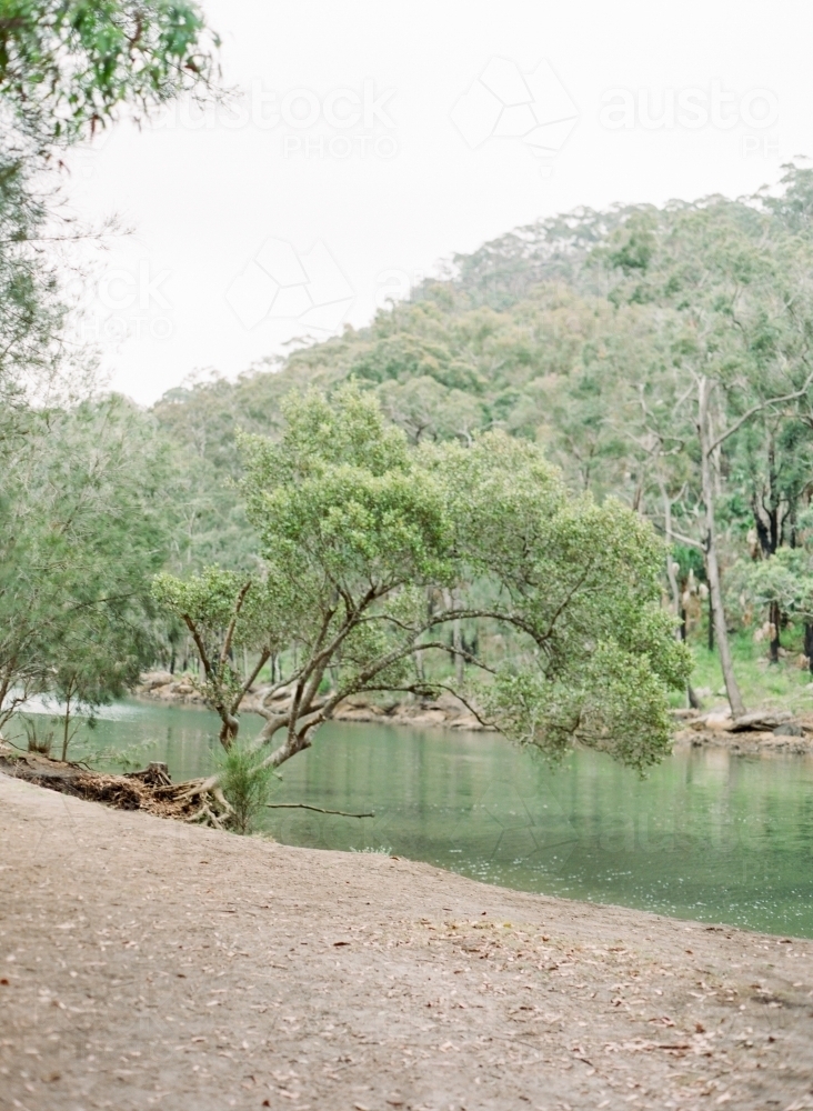 Lakeside Peaceful View - Australian Stock Image
