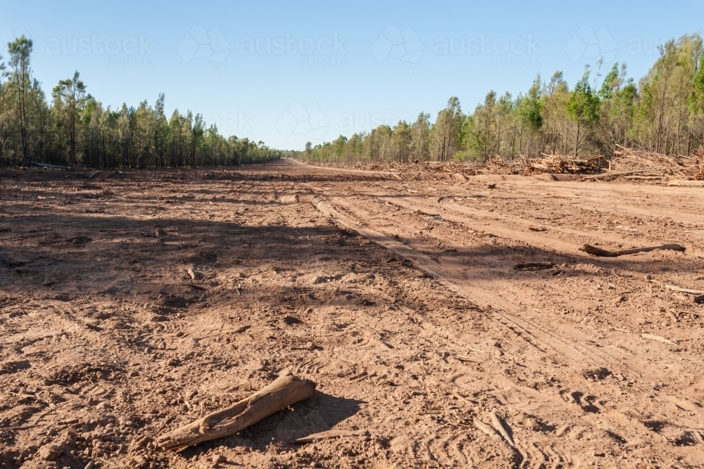 land being cleared for roads in rural Queensland - Australian Stock Image