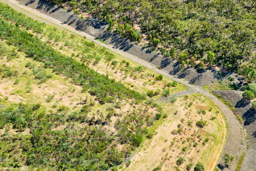 Landfill and storm water gullies with horses (brumbies) on Curtis Island - Australian Stock Image