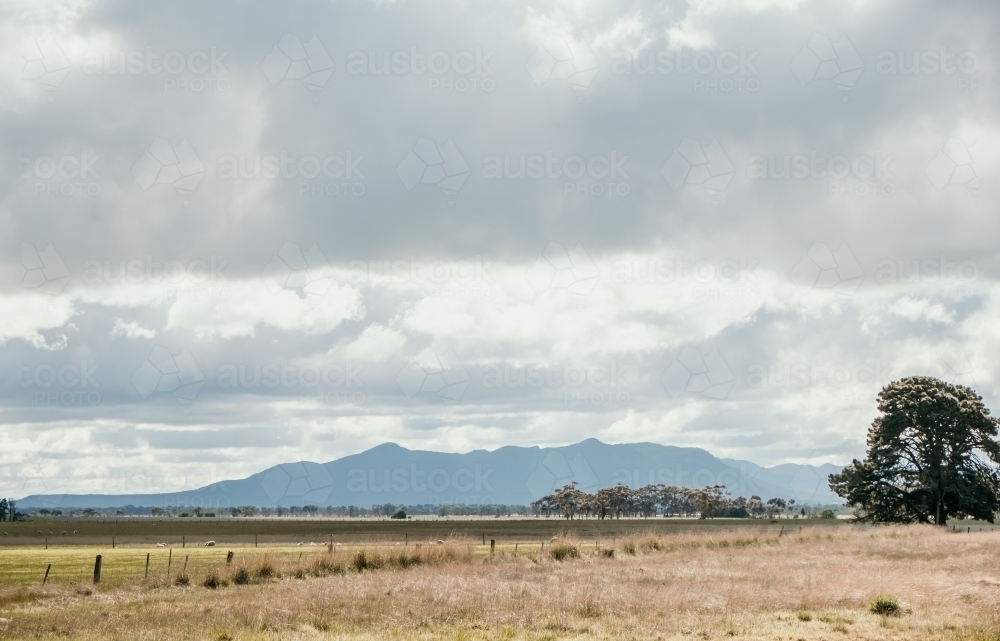 Landscape near the grampians Victoria. - Australian Stock Image