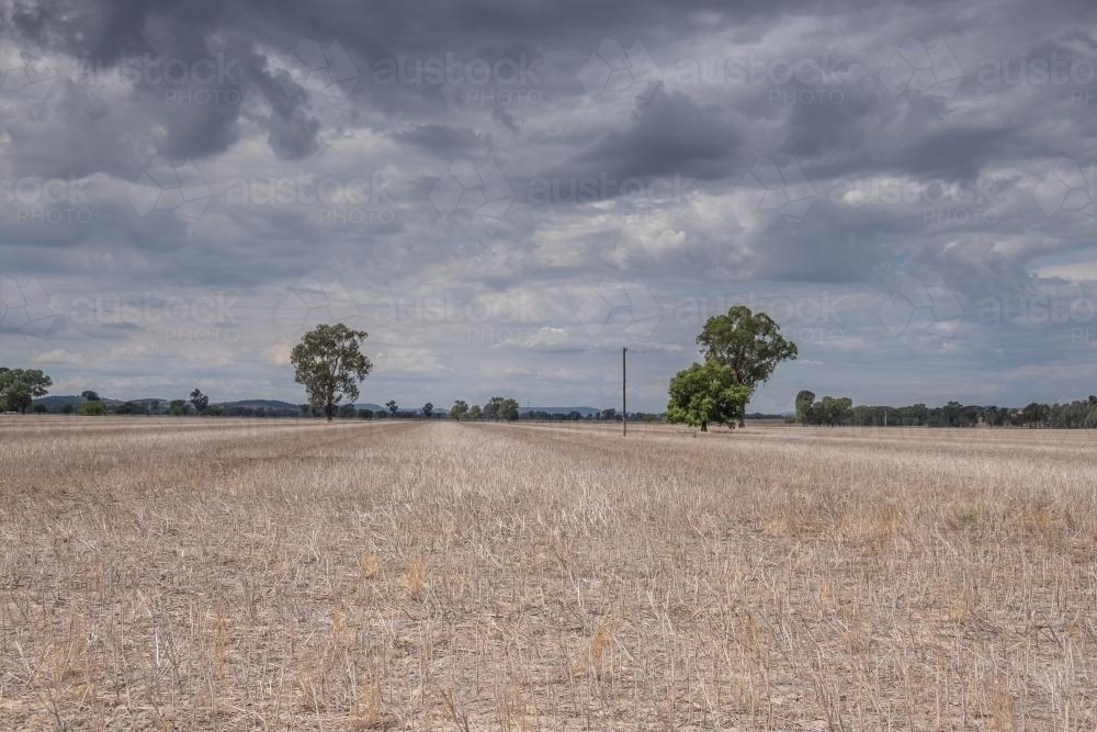 Landscape of dry fields and cloudy skies - Australian Stock Image