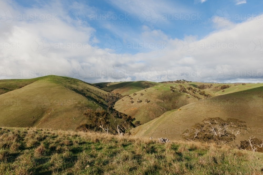 Landscape of green hills on a sunny day - Australian Stock Image