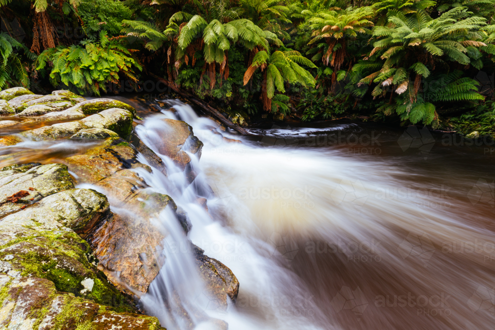 Landscape of Halls Falls with plenty of water on a warm spring day in Pyengana - Australian Stock Image