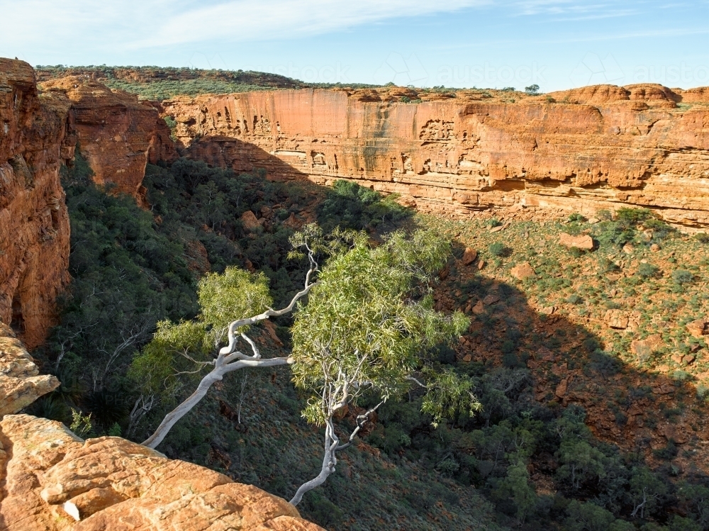 landscape of Kings Canyon - Australian Stock Image