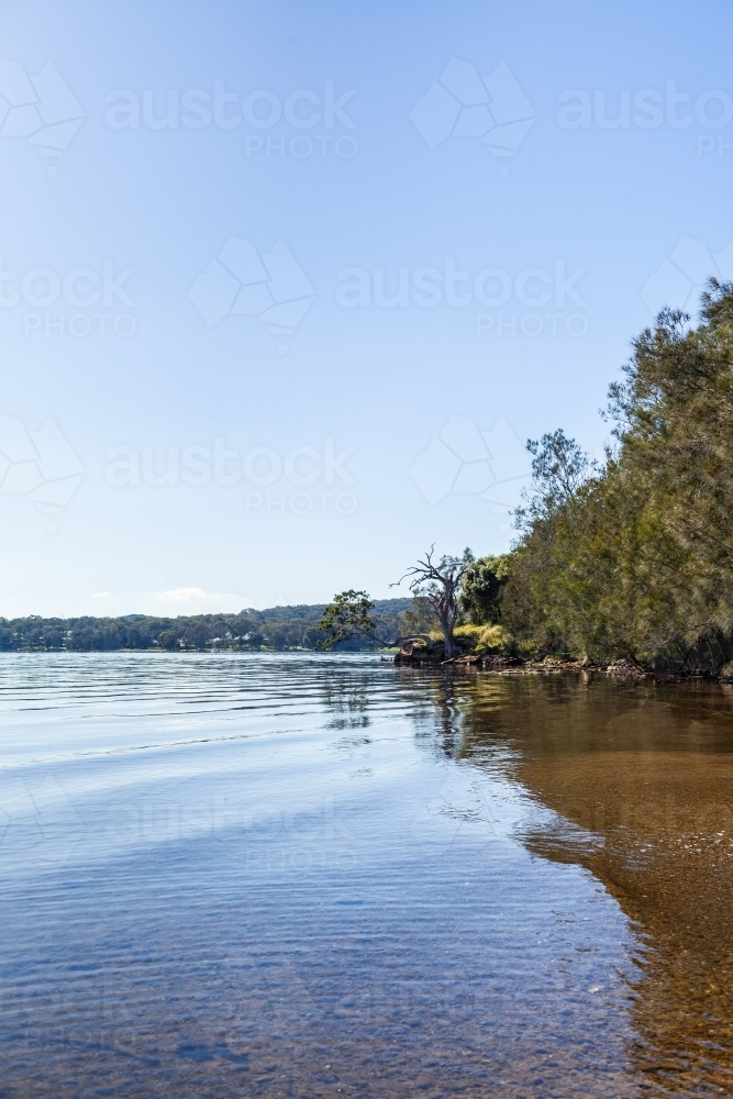 Landscape of lake shoreline with trees to shallow water - Australian Stock Image