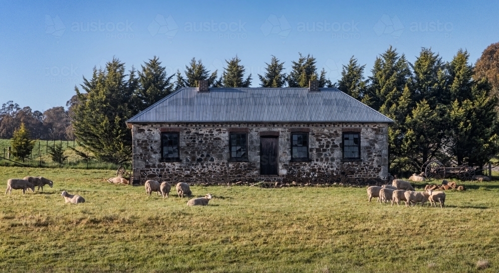 Landscape of old stone cottage with grazing sheep in front - Australian Stock Image