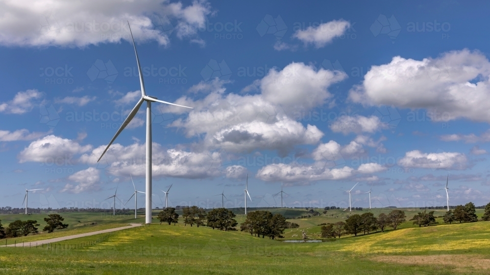 Landscape of wind turbines in countryside setting - Australian Stock Image