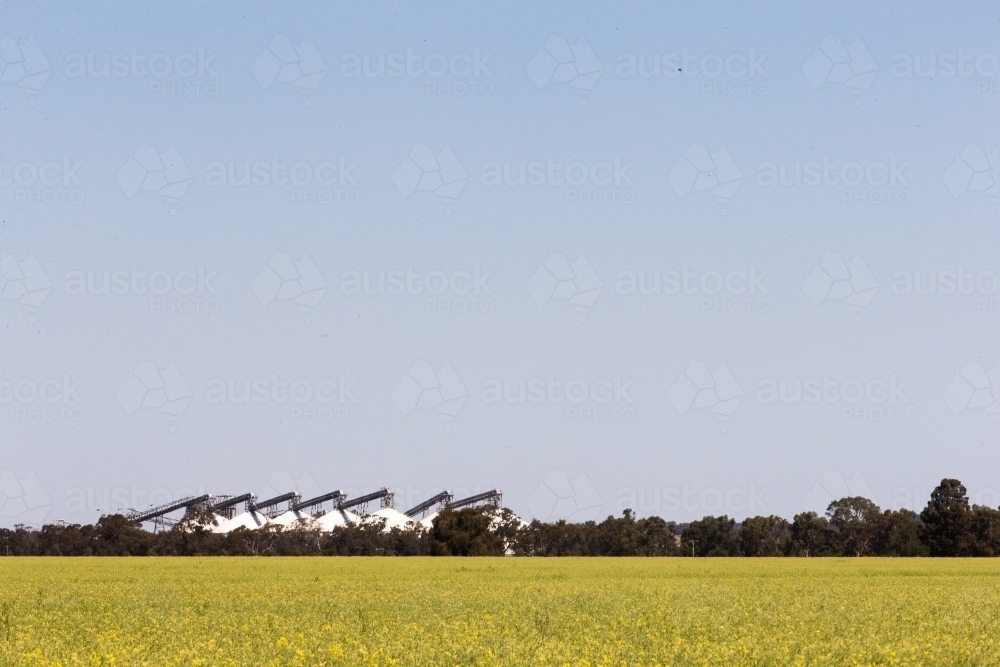 Landscape shot of big green field with trees and white silos in the background - Australian Stock Image