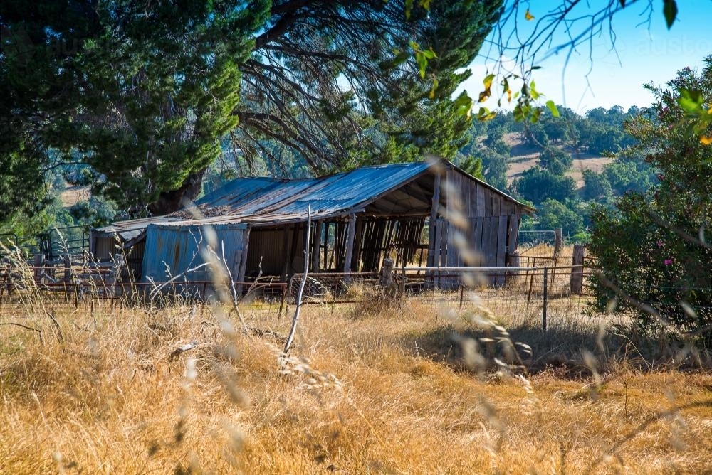 Landscape Shot of Old Disused Farm Building - Australian Stock Image