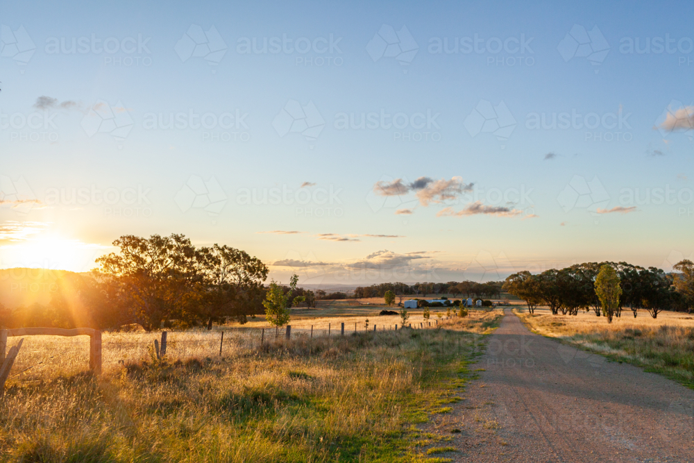 Image of landscape view down rural farm driveway road through paddocks ...