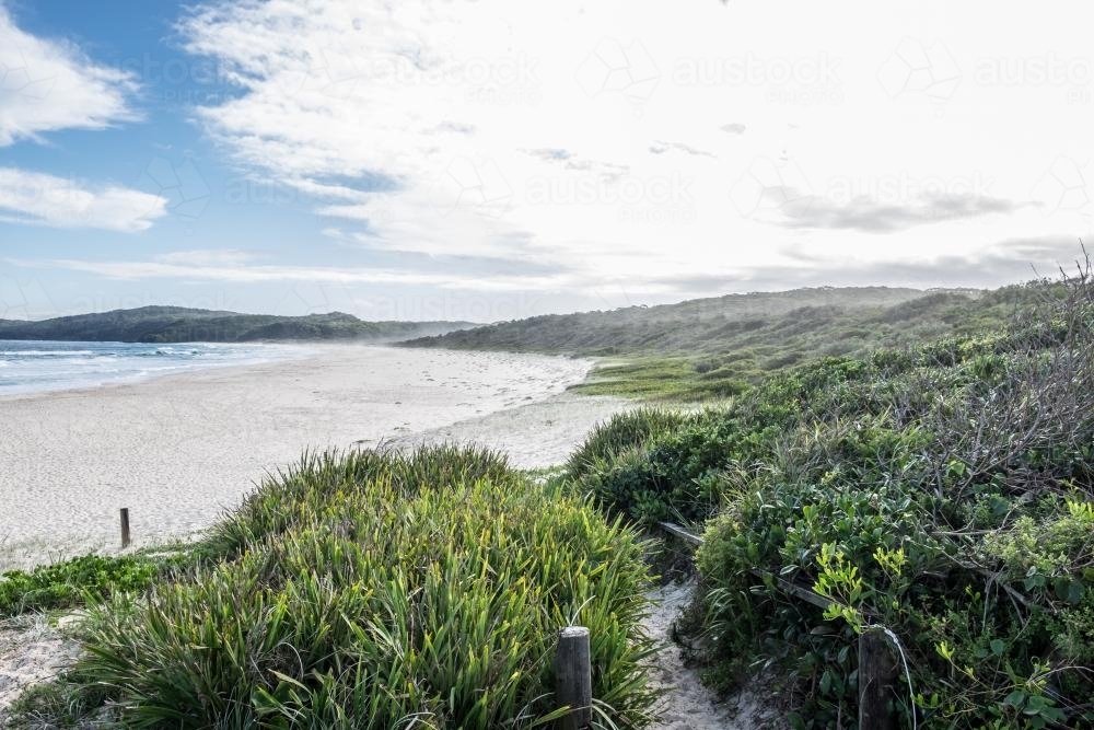 Landscape view of sandy beach with green shrubs - Australian Stock Image