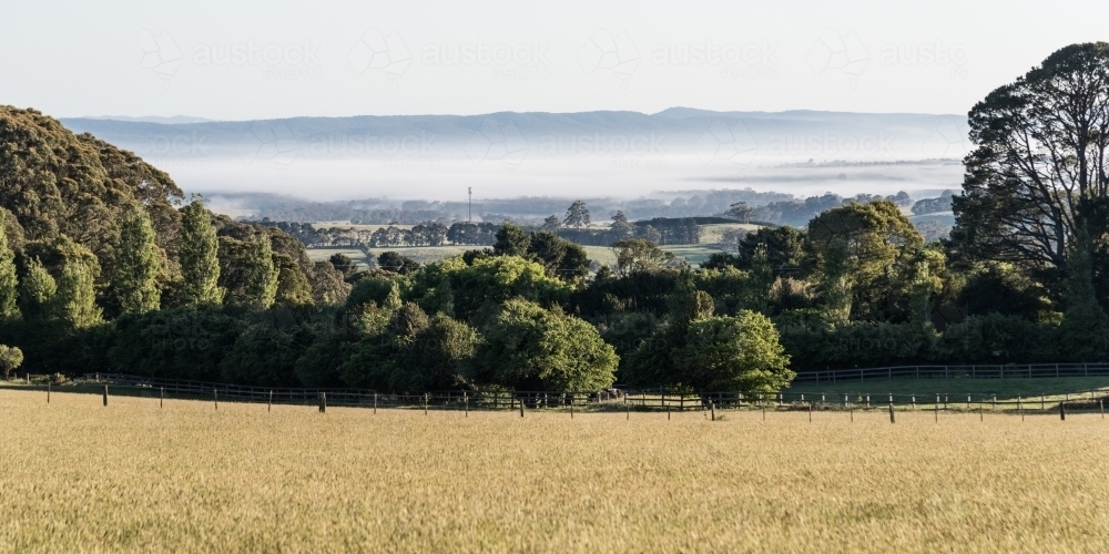 landscape views across the misty valley - Australian Stock Image