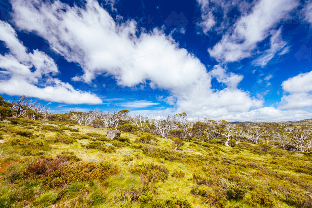 Landscape views along the Porcupine Walking Track on a summer's day in Kosciuszko National Park - Australian Stock Image
