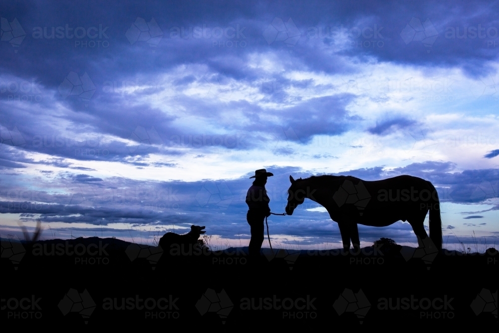Landscape with woman dog and horse silhouette against blue clouds of dusk sky - Australian Stock Image