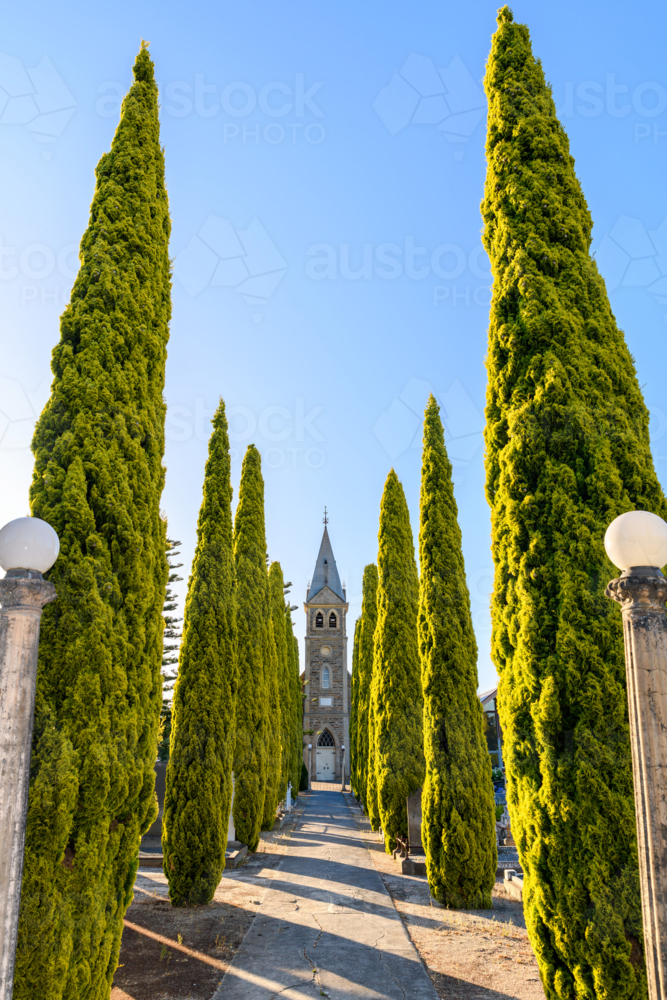 Langmeil Lutheran Church with the long pathway between pencil pines in Tanunda during sunset - Australian Stock Image