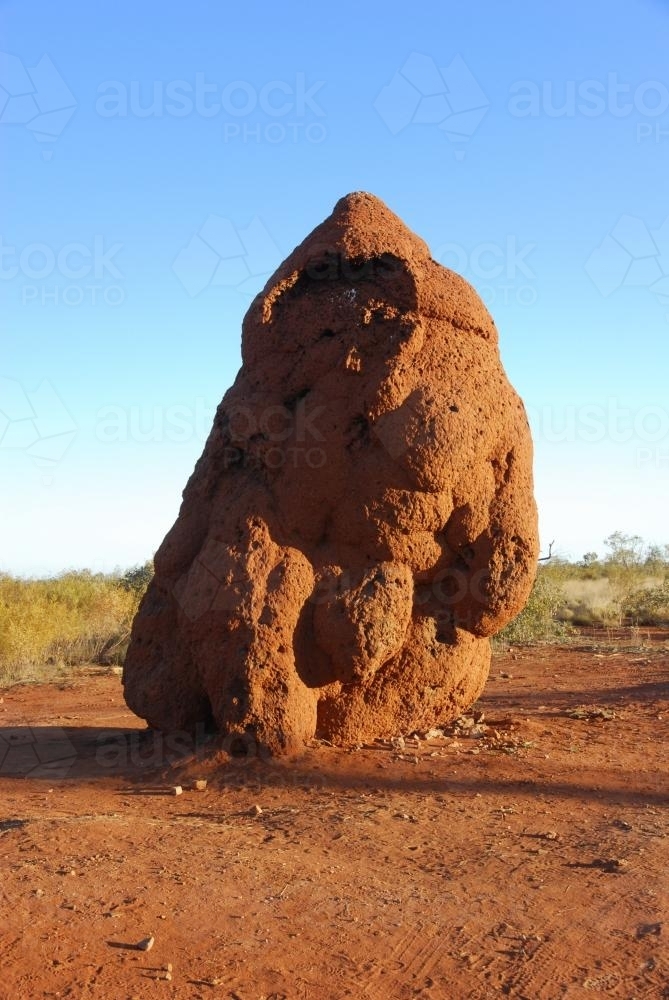 large anthill or termite mound in outback Australia - Australian Stock Image