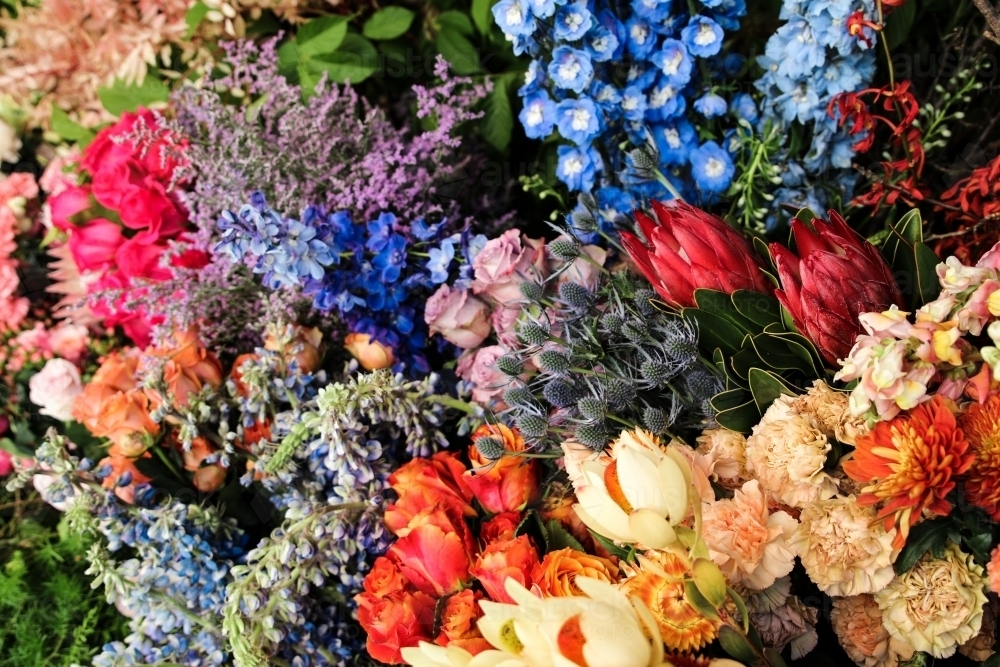 Large bunch of colourful flowers - Australian Stock Image