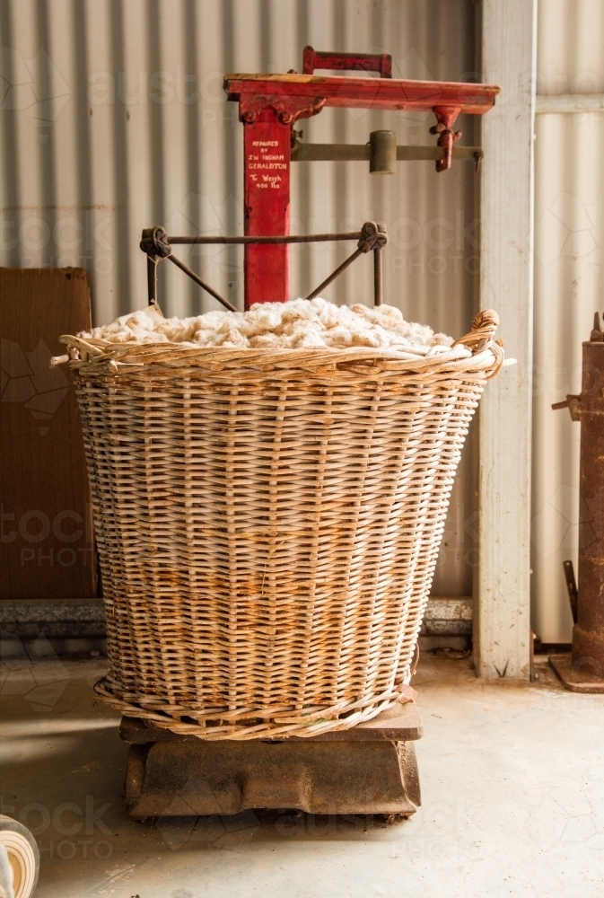 Large cane basket of wool on vintage scales in a shed - Australian Stock Image