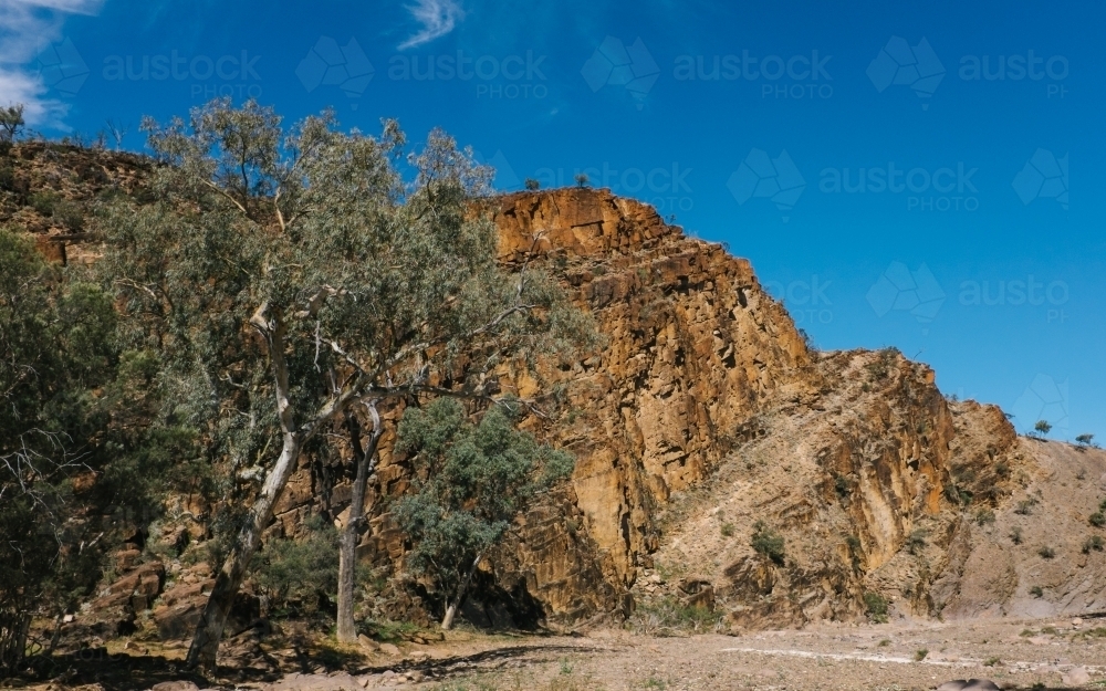 Large gum trees and rocky cliffs in remote landscape - Australian Stock Image