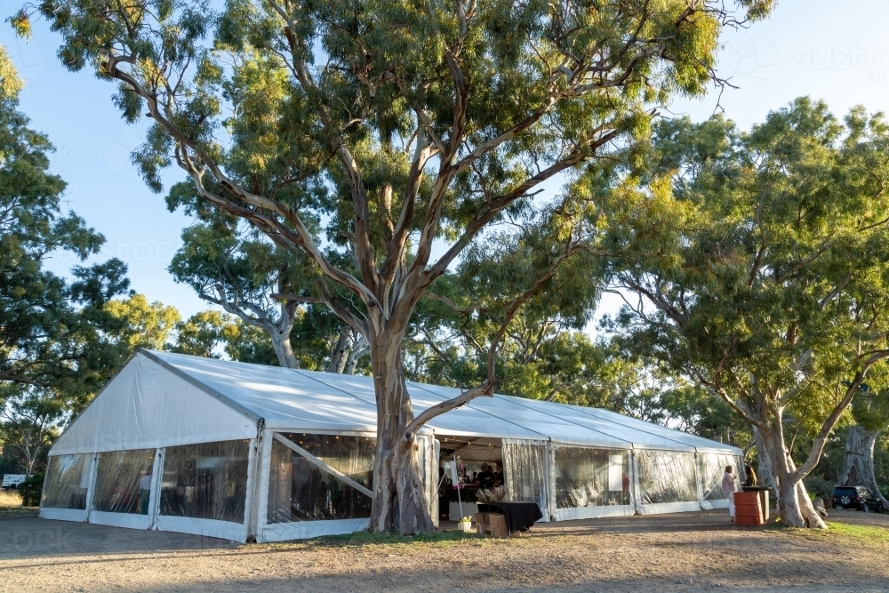 COIN AND PHONE PURSE AMONG THE GUMTREES main image 0