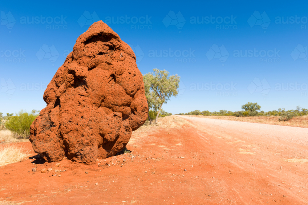 Large red termite mound beside an outback dirt road. - Australian Stock Image