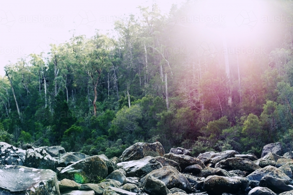 Large rocks in front of bushland with sun flare - Australian Stock Image