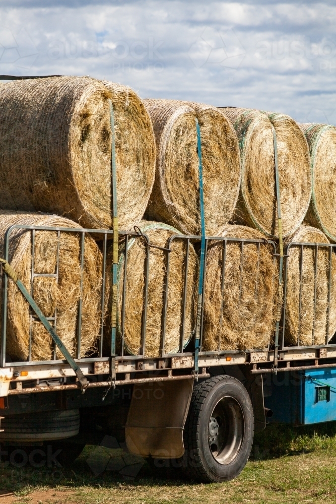 Large round hay bales loaded on semi-trailer in paddock - Australian Stock Image