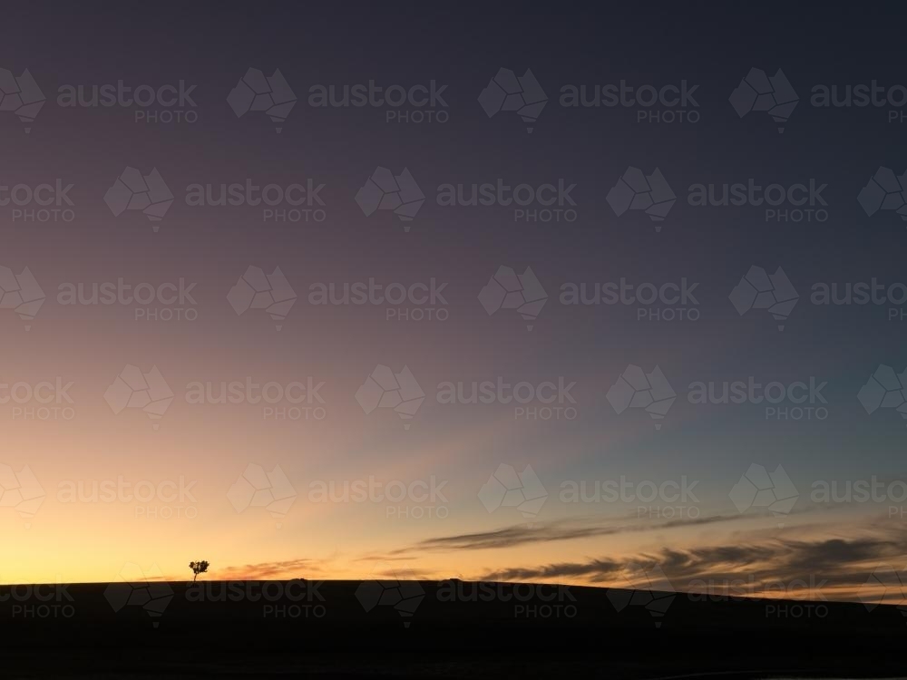 Large sky after sunset with sun's rays and a lone tree - Australian Stock Image