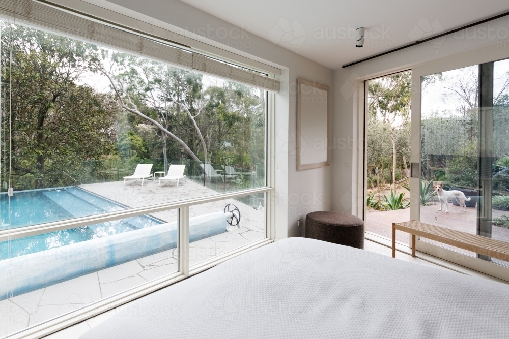 Large windows showing an amazing view to pool and garden in luxury home - Australian Stock Image