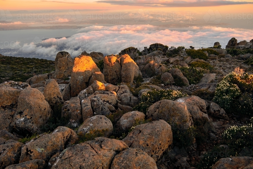 Last Light on the Summit of Mount Wellington - Australian Stock Image