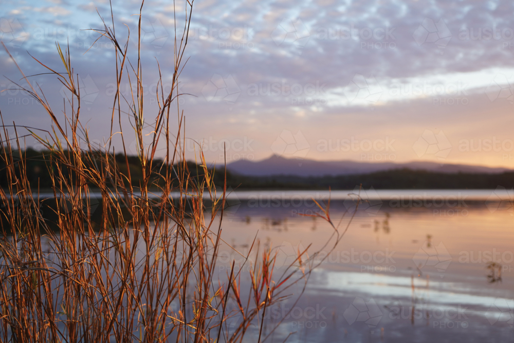 last sunset light on grass by calm lake - Australian Stock Image
