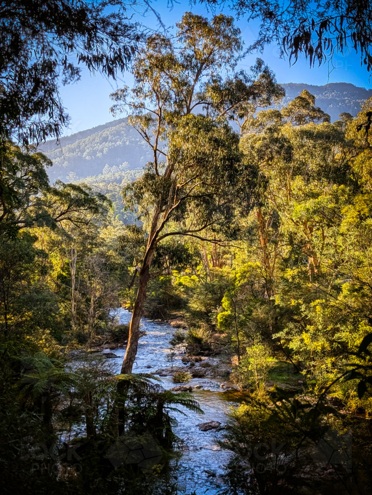 Late afternoon light in autumn is cast over the Yarra River near the Warburton Hwy in Warburton, Vic - Australian Stock Image