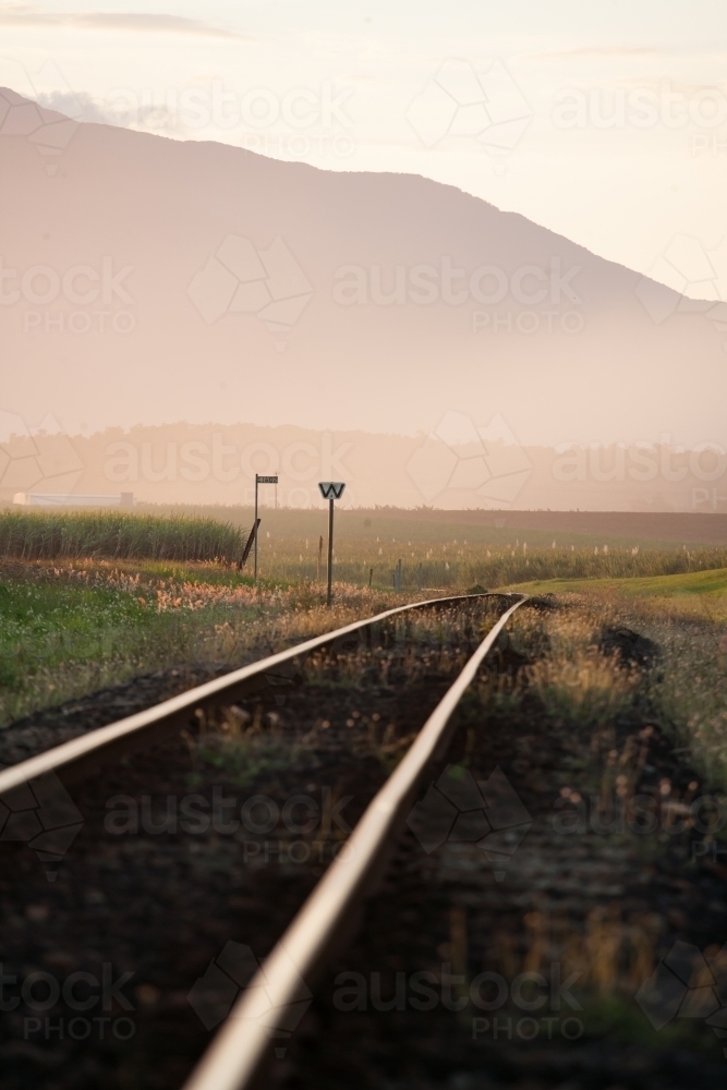 Late afternoon light on cane train tracks with mountains in background. - Australian Stock Image