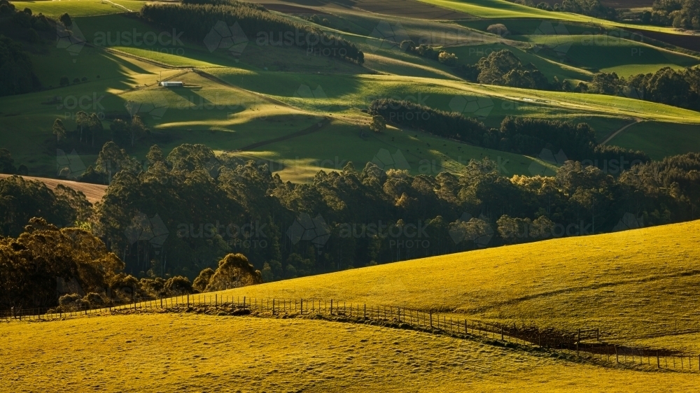 Late afternoon sunlight on rolling hills of farmland - Australian Stock Image