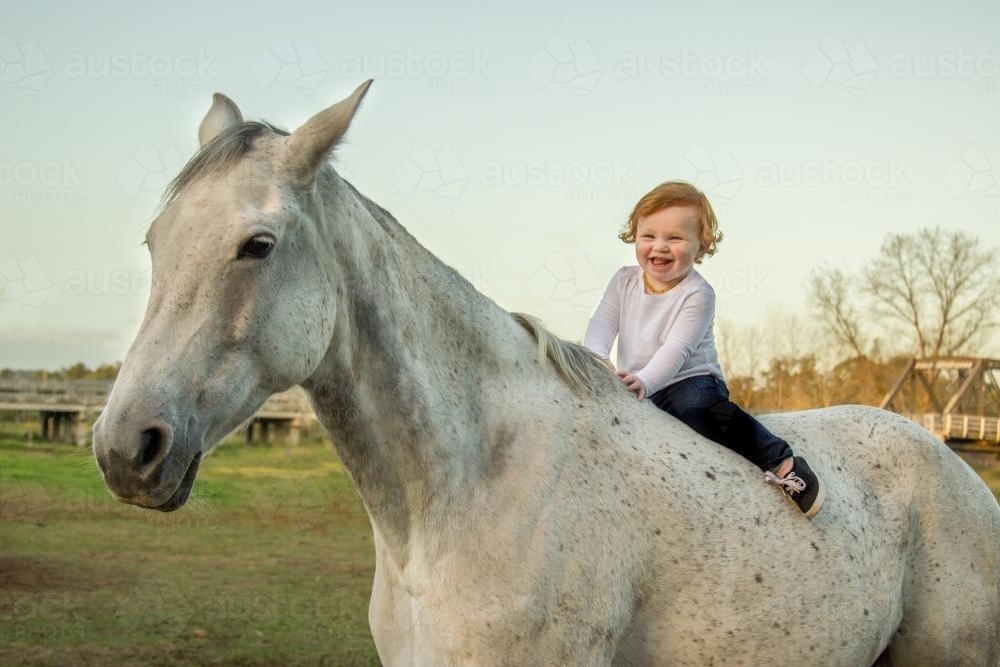 Laughing redhead girl sitting on a big grey horse - Australian Stock Image