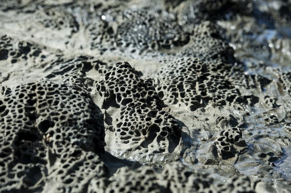 Lava formed rockpool closeup - Australian Stock Image