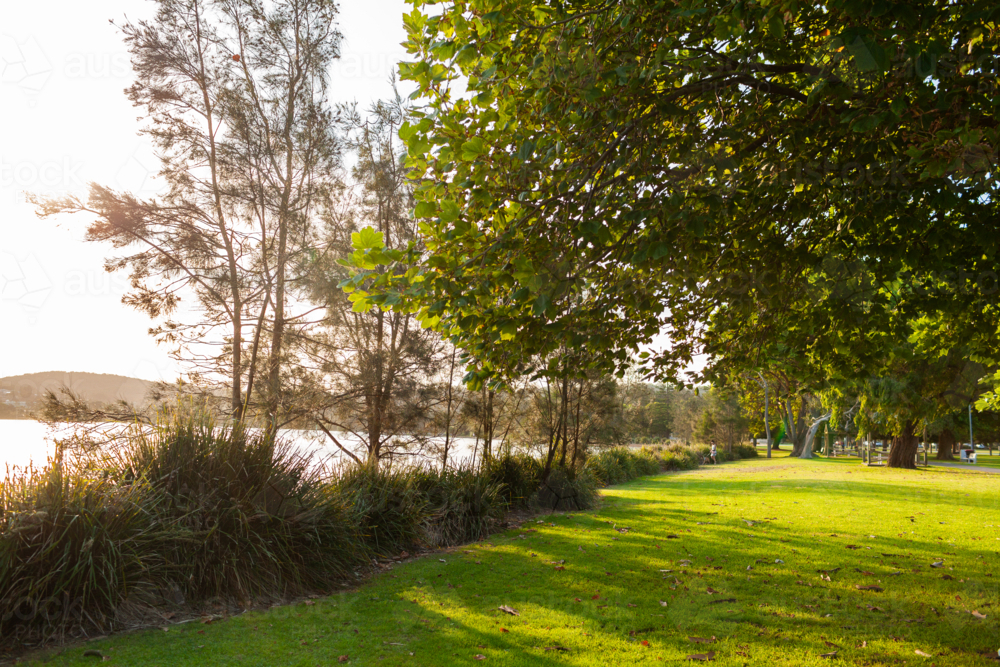 lawn grass of Speers Point parkland at the more of cockle bay Lake Macquarie in Newcastle - Australian Stock Image