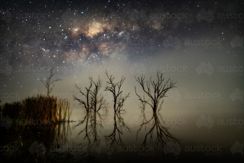 Leafless trees and their reflections in a lake at night time under a starry sky with milky way - Australian Stock Image