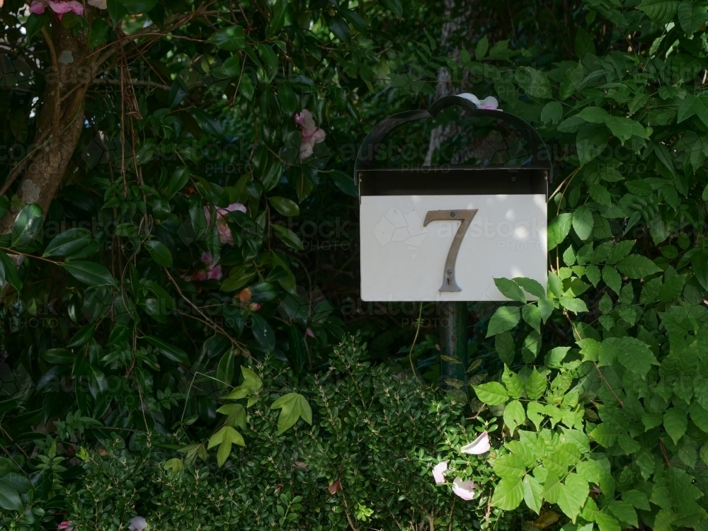 Leafy shady Letterbox for #7 - Australian Stock Image