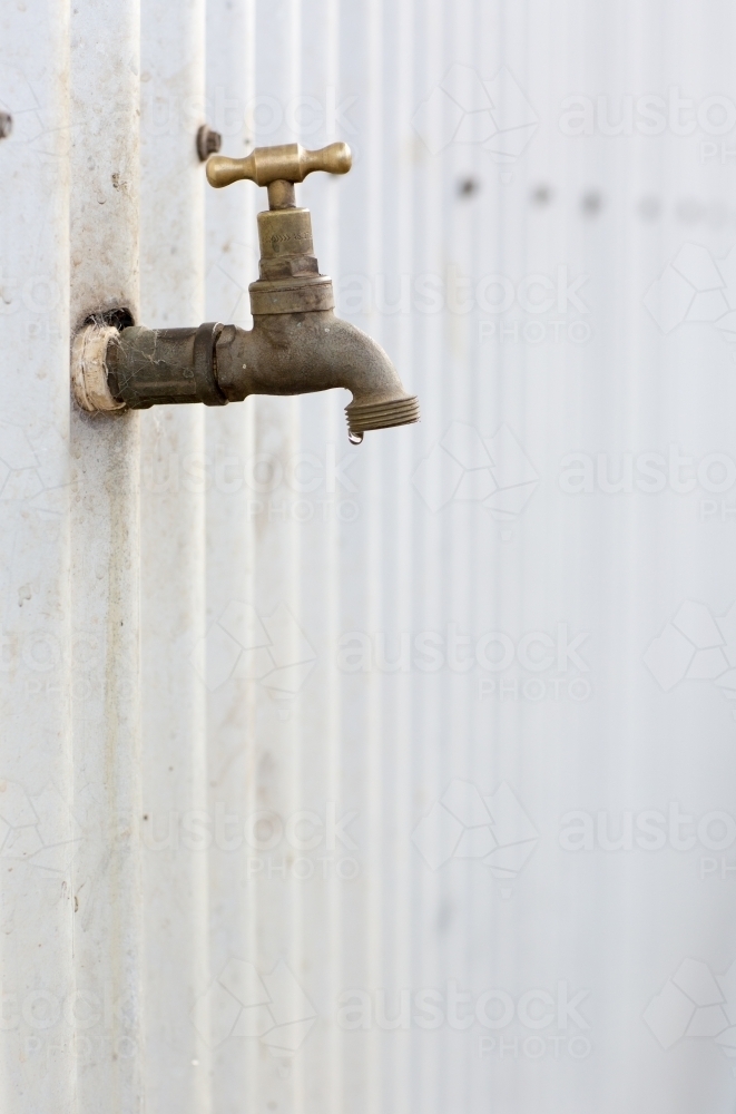 Leaking tap with water droplet against corrugated iron wall - Australian Stock Image