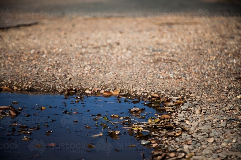 Leaves in a puddle on a gravel road - Australian Stock Image