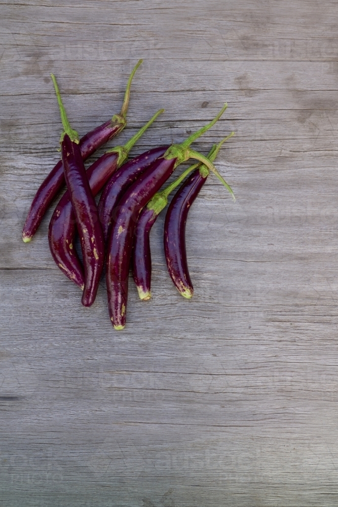 Image of Lebanese Eggplant Austockphoto