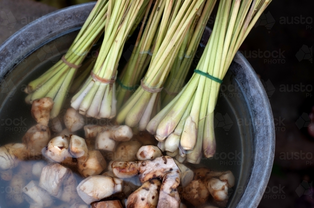 Lemon Grass - Australian Stock Image
