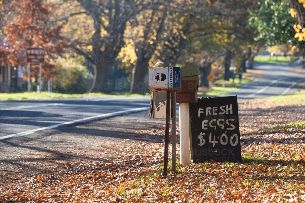 Letterboxes and sign lined up on tree lined country road - Australian Stock Image