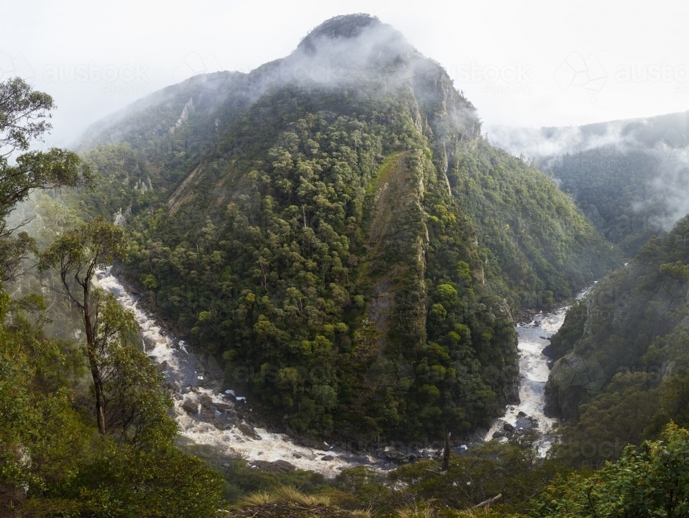 Leven Canyon - Tasmania - Australian Stock Image