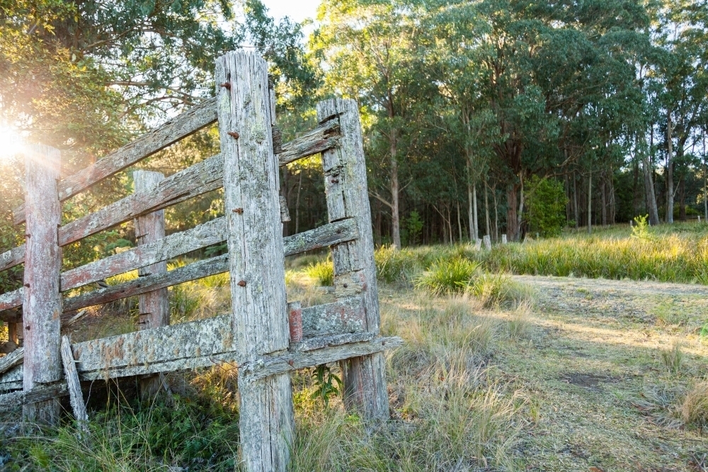 Lichen covered cattle chute, old wooden rails - Australian Stock Image